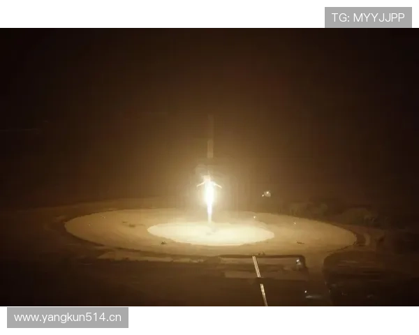 富里睡醒发现自家马场又多了一匹新马，账单比拳赛还长